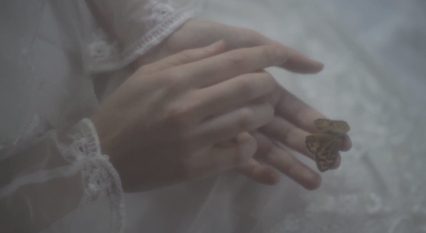 Ode To The Yearning Field