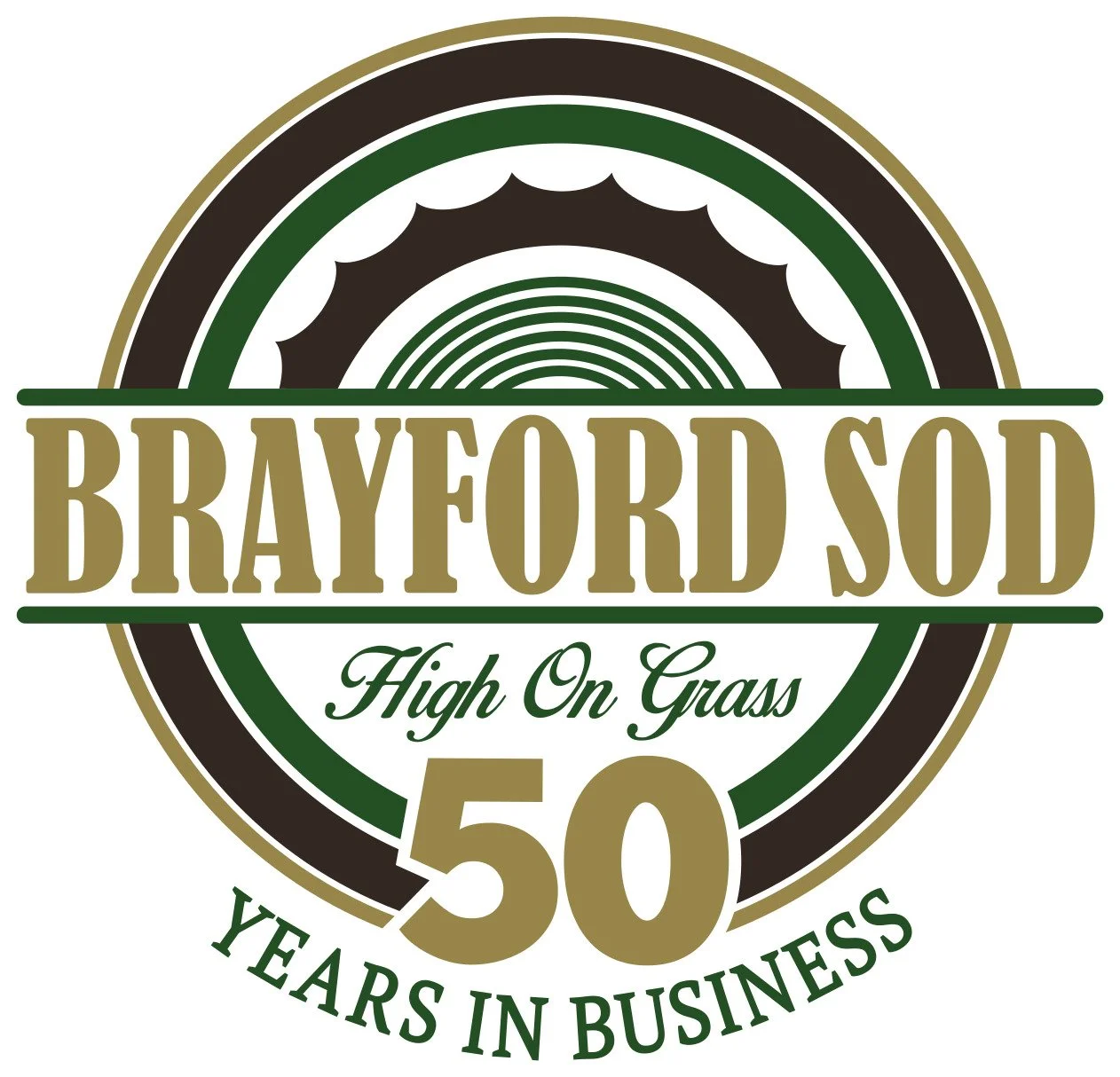 Brayford50thAnnLogo_4c_whiteoutline (2).jpg