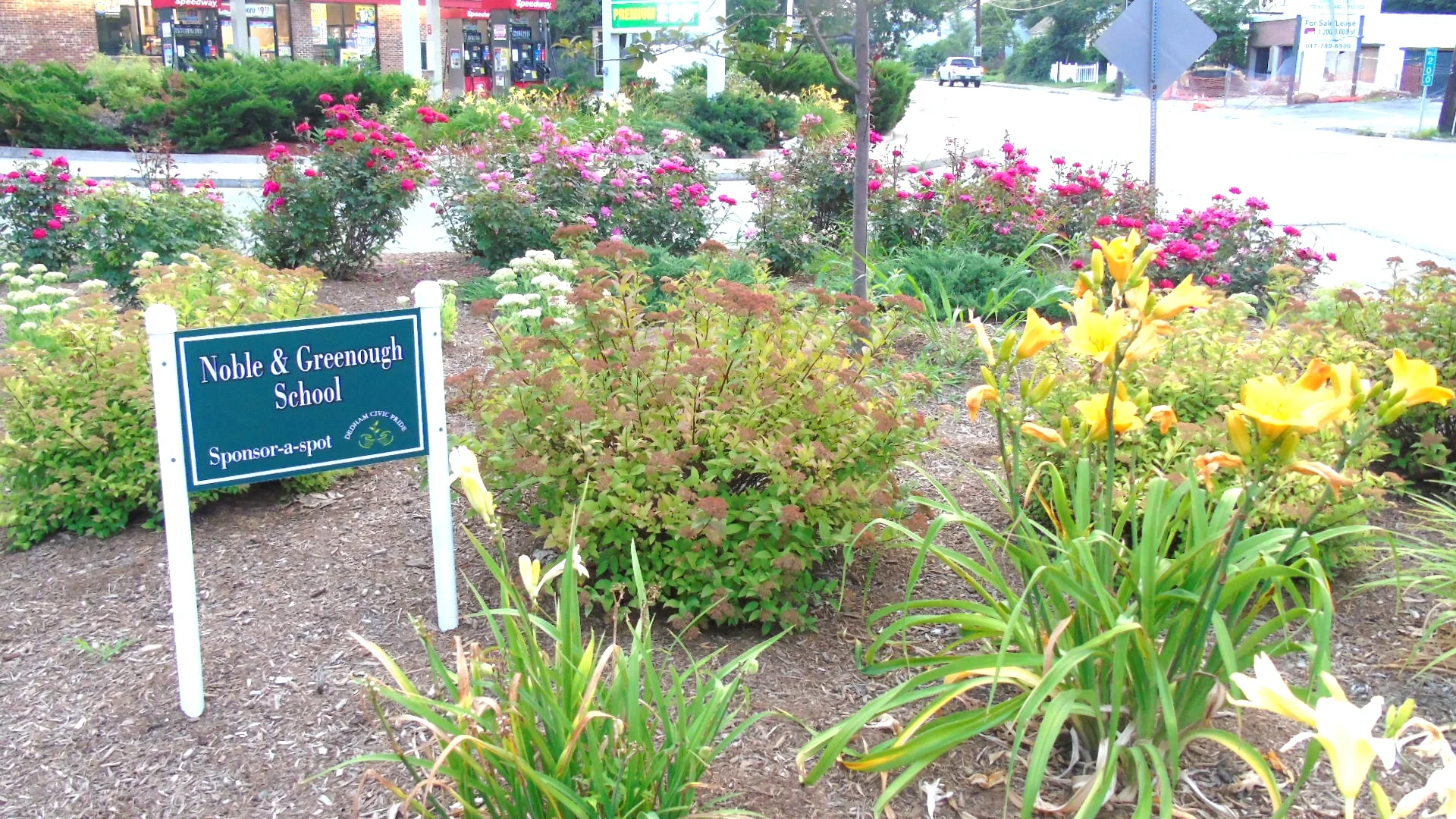 2015-07-27 04.54.49.jpg