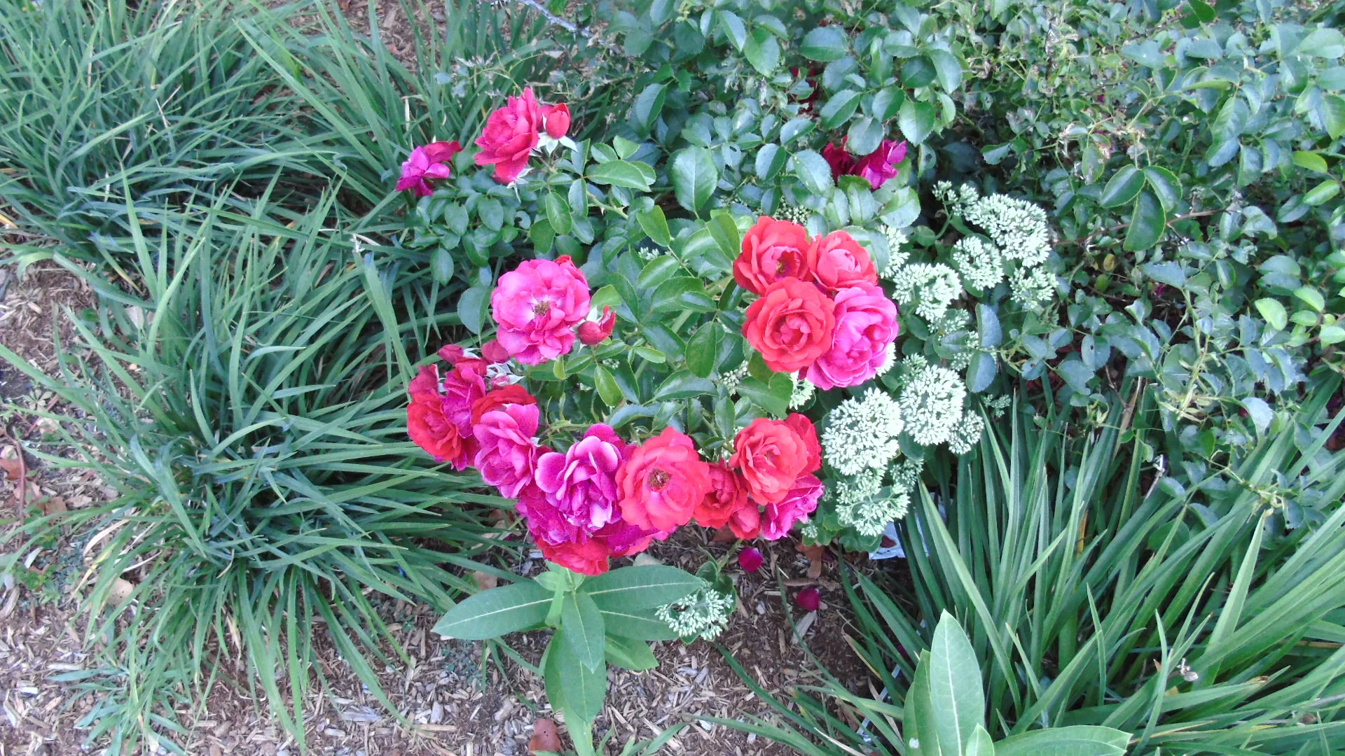 2015-07-28 04.50.44.jpg