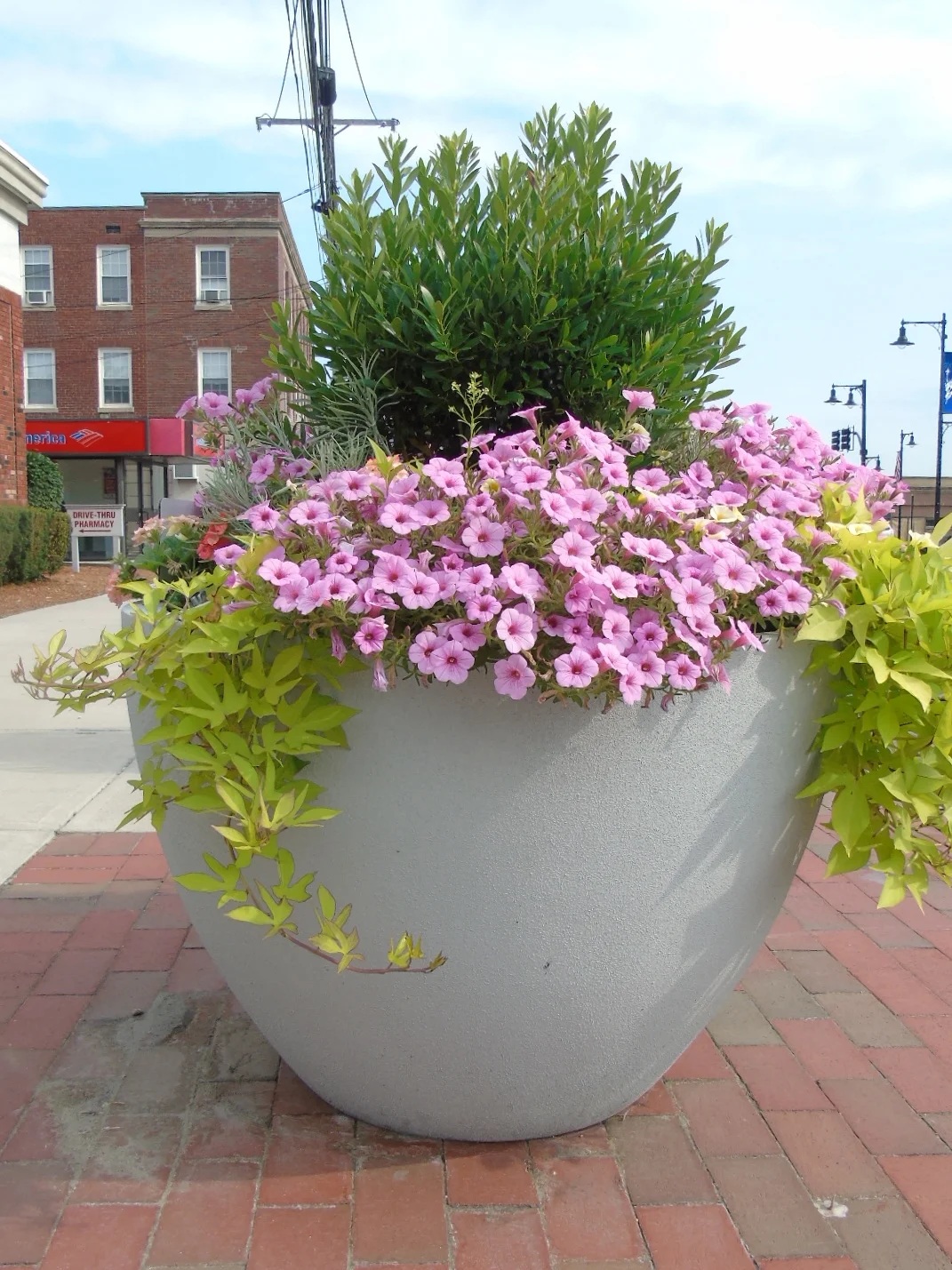 2015-07-27 08.17.19.jpg