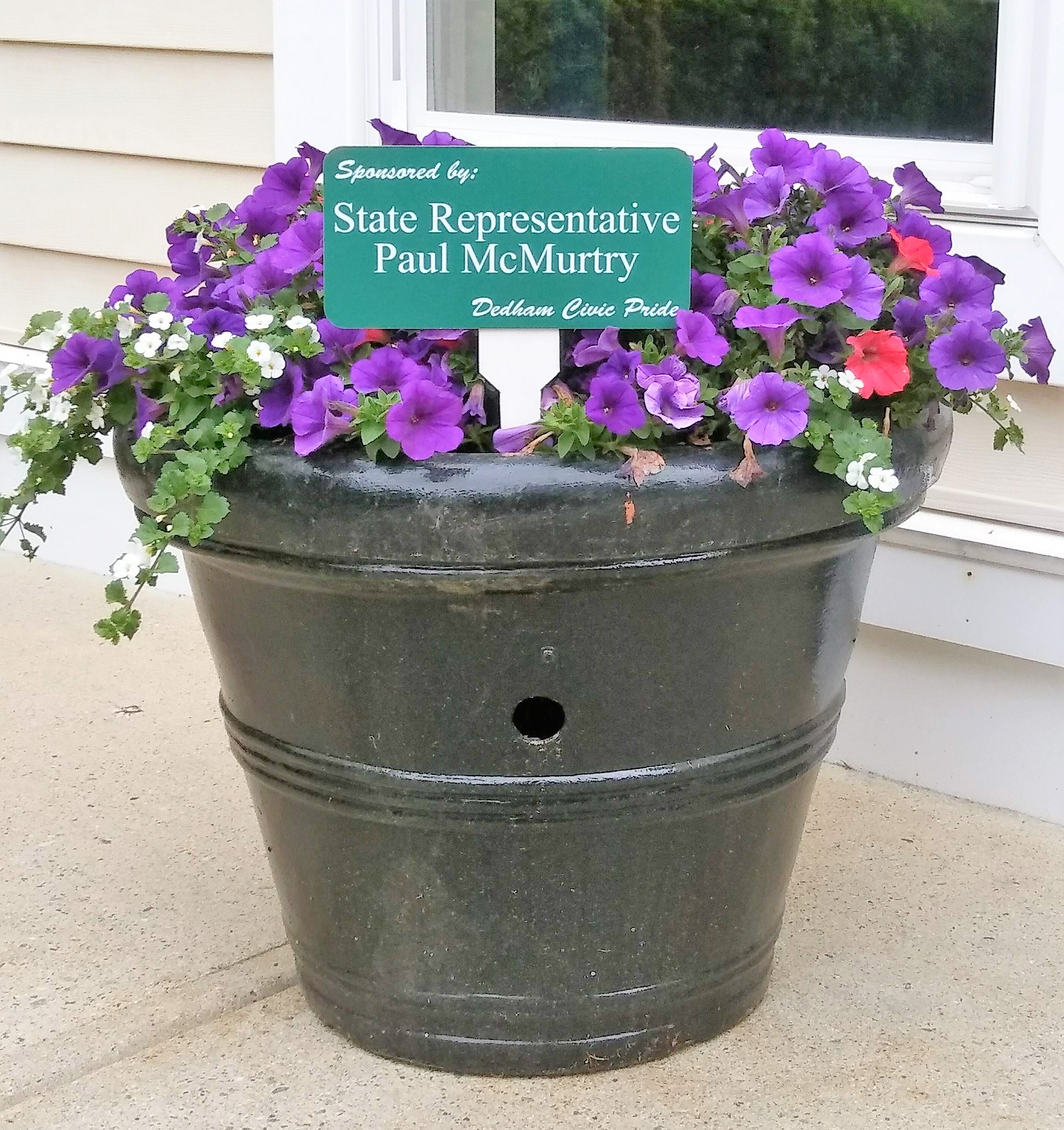 2018 State Rep. McMurtry Blooms Pot Spring.2.jpg