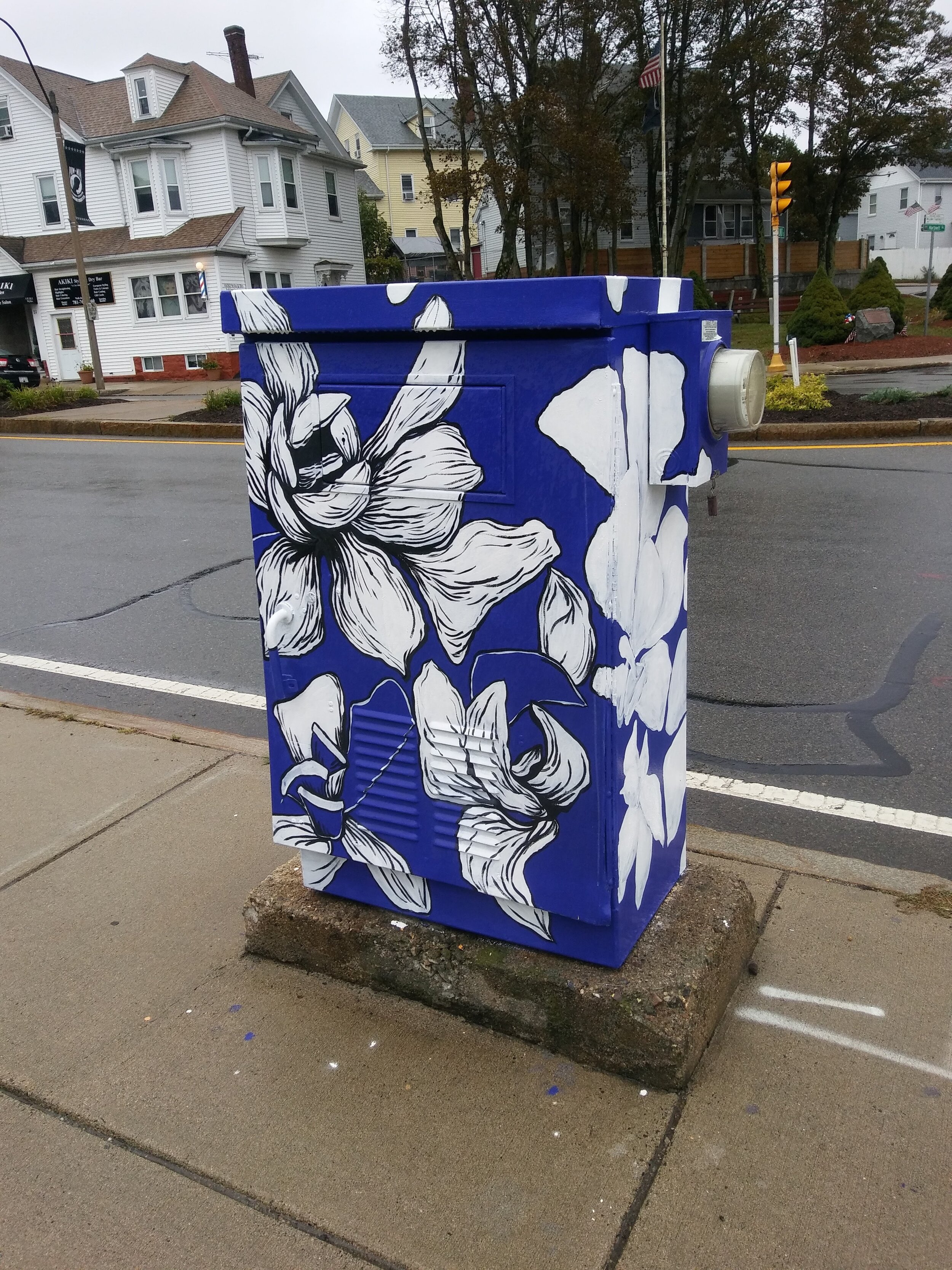 2017 Cat Tucker Utility Box.3.jpg