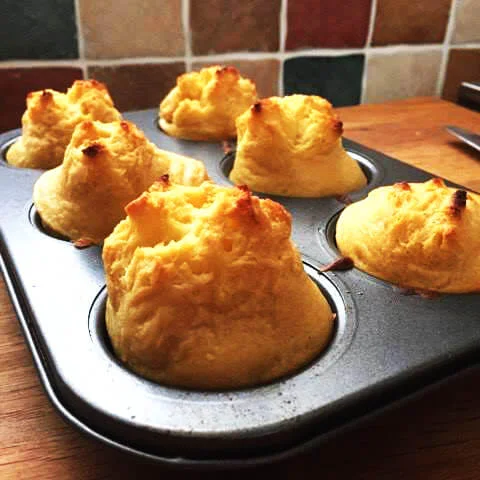 YORKSHIRES.jpg