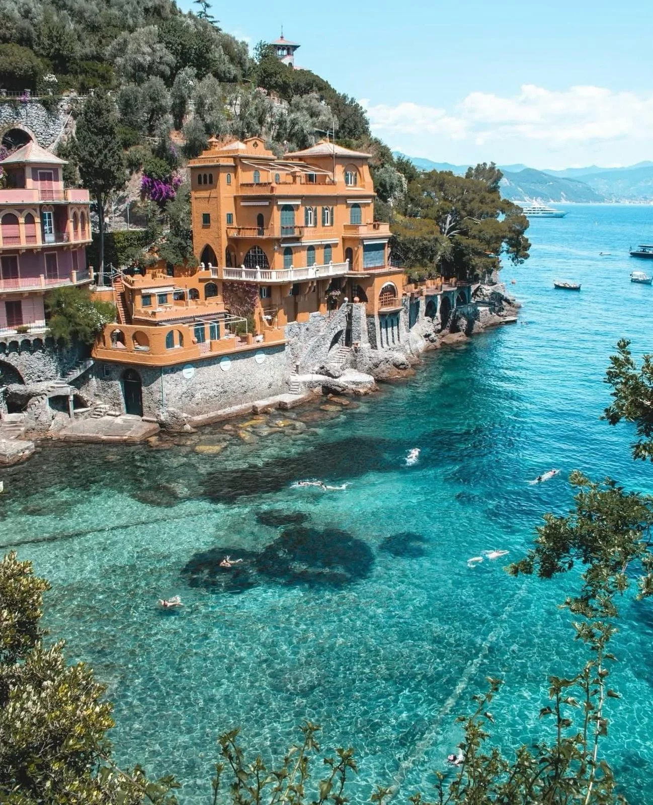 WhatsApp Image 2026-02-06 at 5.11.58 AM.jpeg