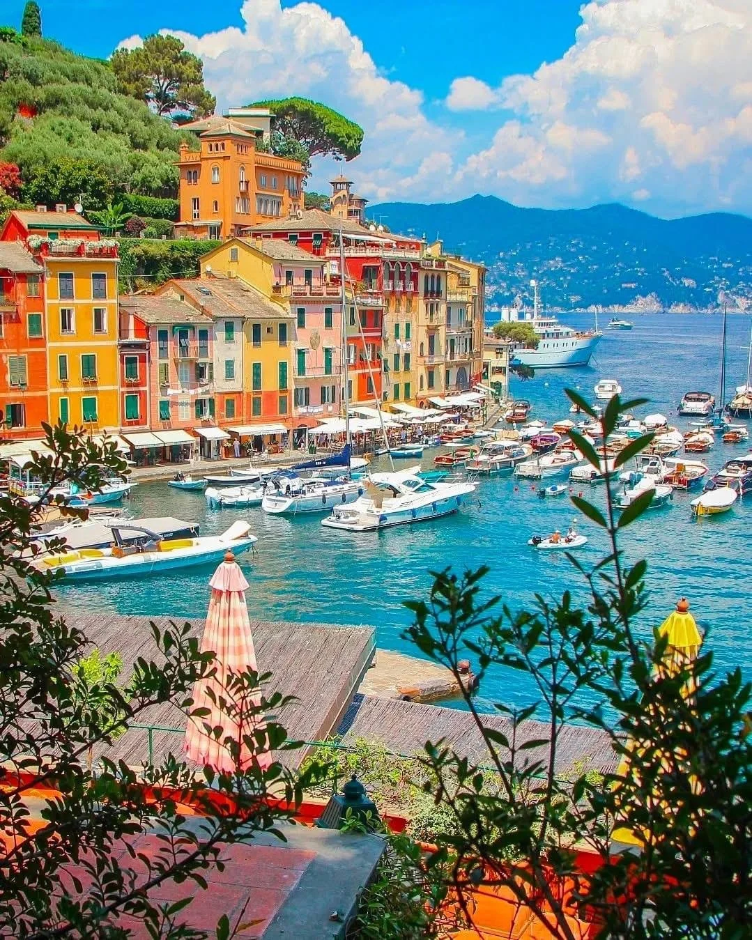 WhatsApp Image 2026-02-06 at 5.11.58 AM (5).jpeg