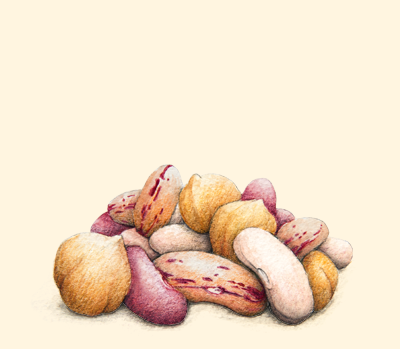 MEDITERRANEAN DIET