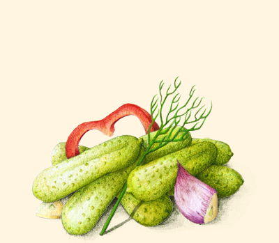 FERMENTED & PICKLED