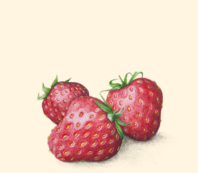 HONEY & FRUIT
