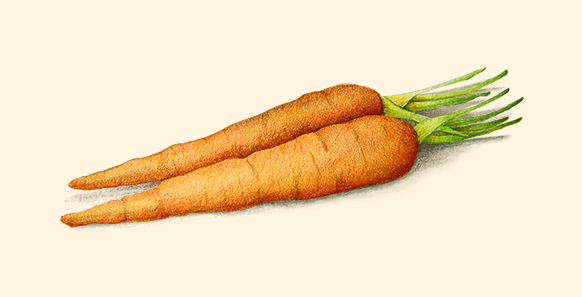 carrots.png