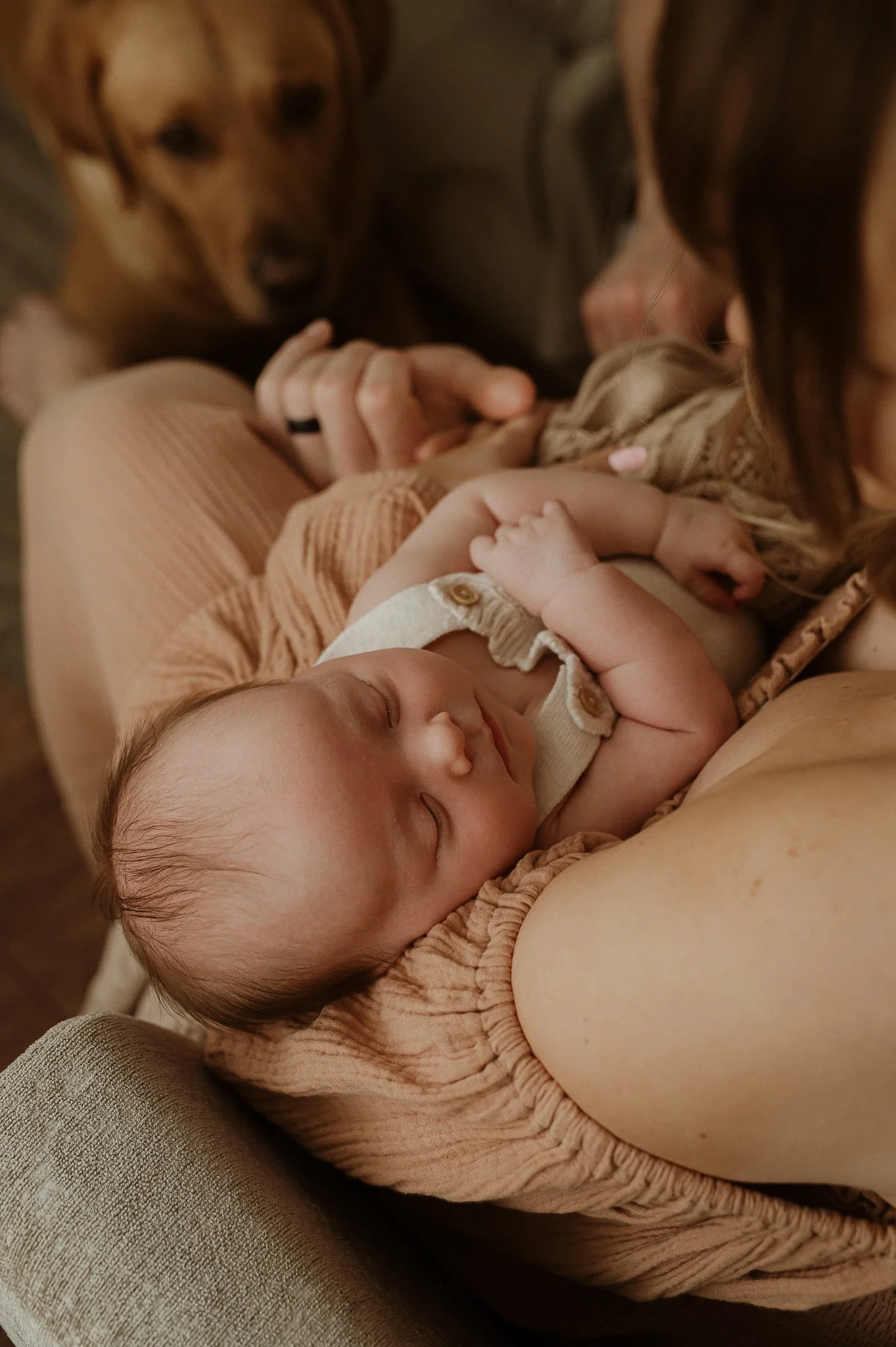 theUNTOLDphoto worcestershire in-home newborn photographer