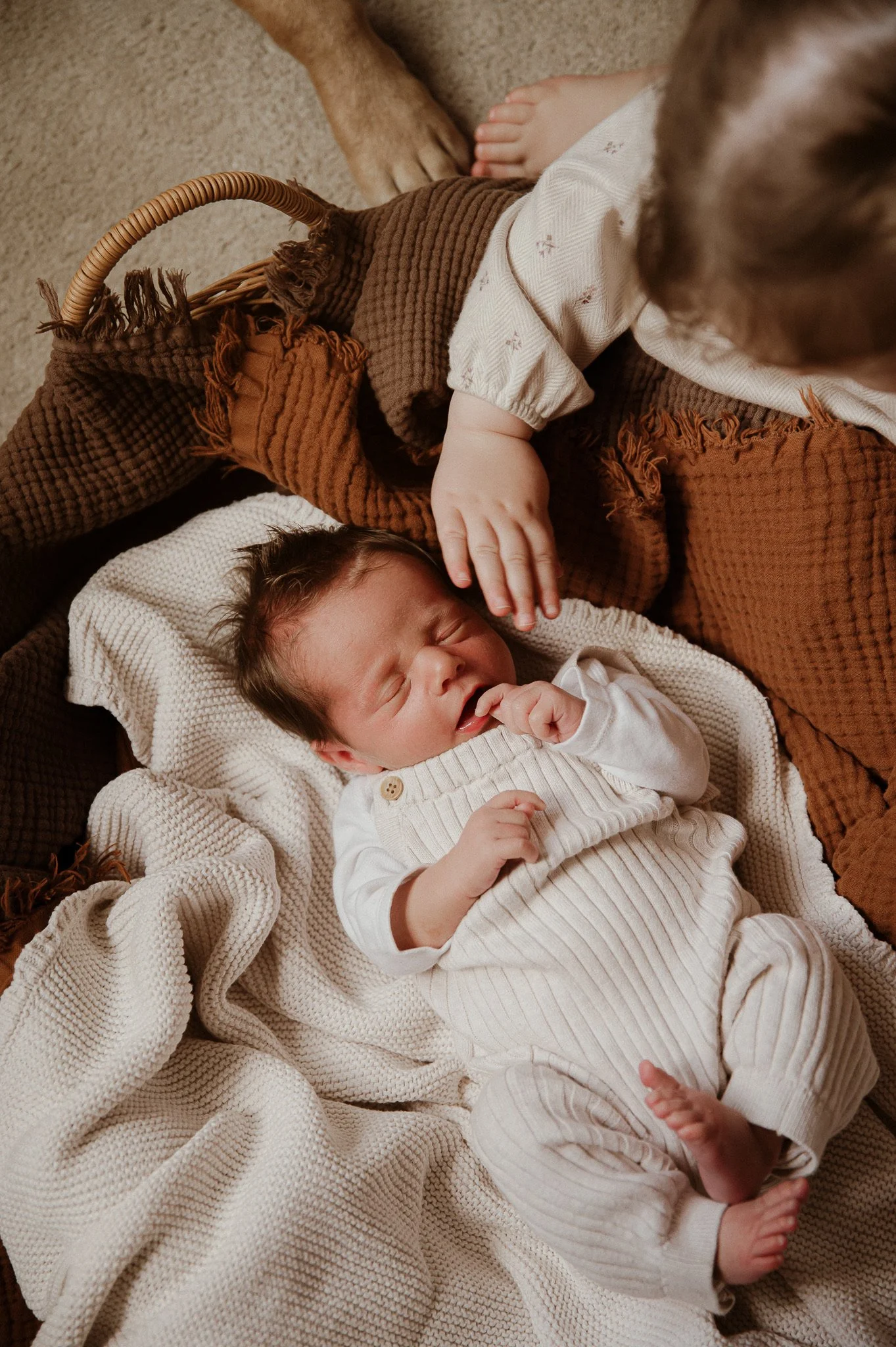 theUNTOLDphoto worcestershire in-home newborn photographer