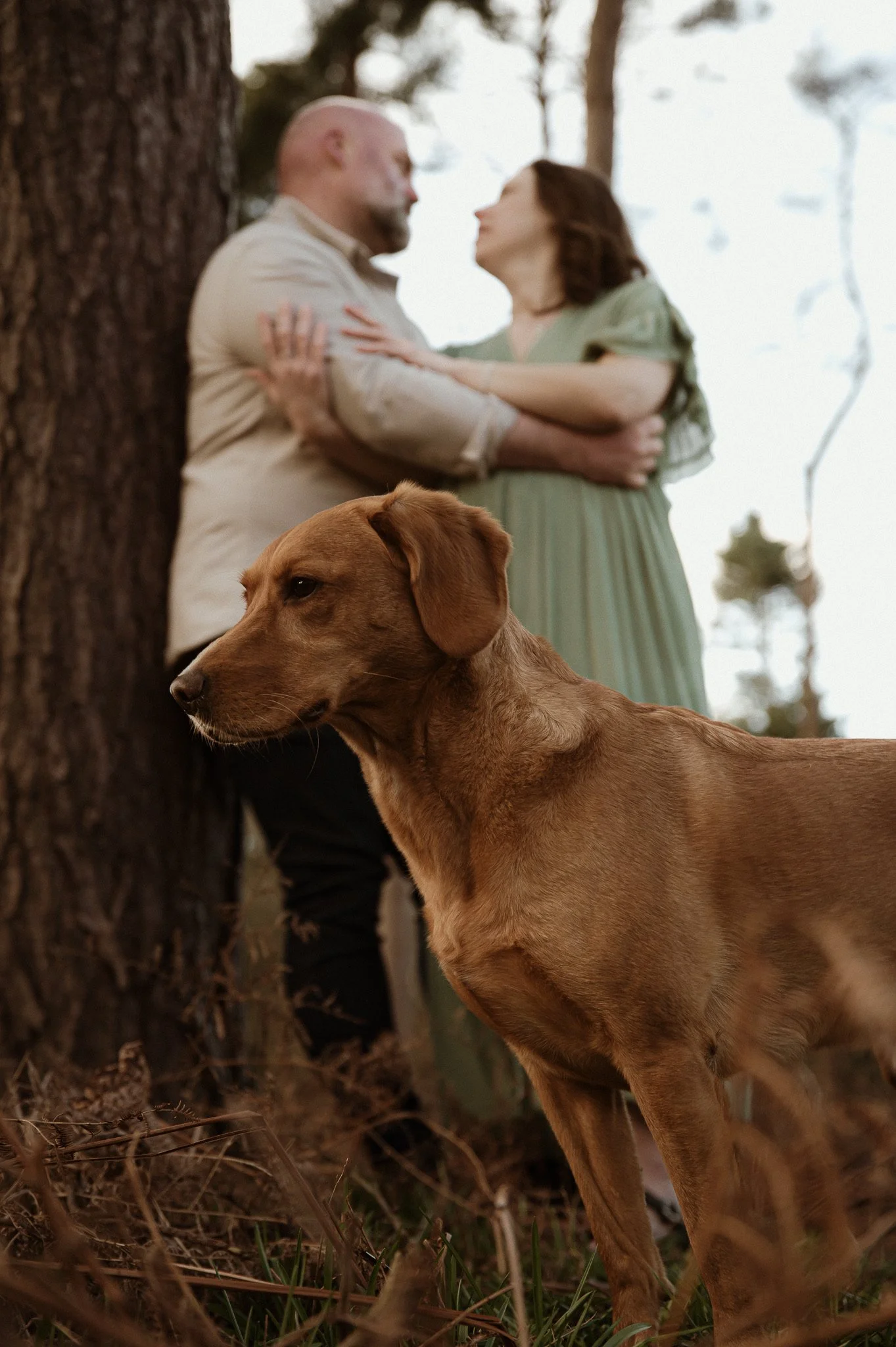 theuntoldphoto Worcestershire outdoor maternity photographer