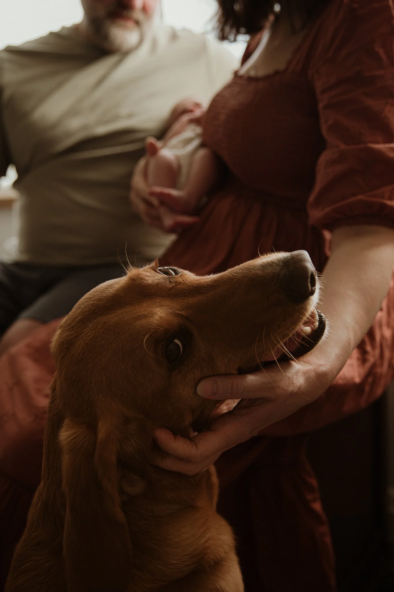 theuntoldphoto Worcestershire in-home newborn family photographer