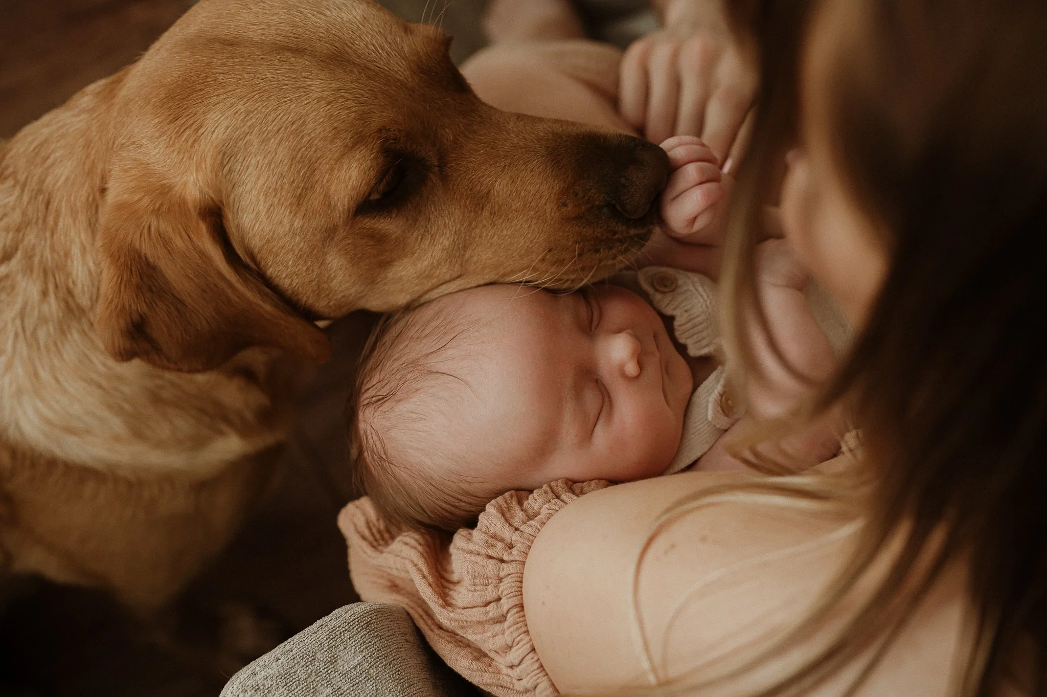 theUNTOLDphoto worcestershire family newborn photographer