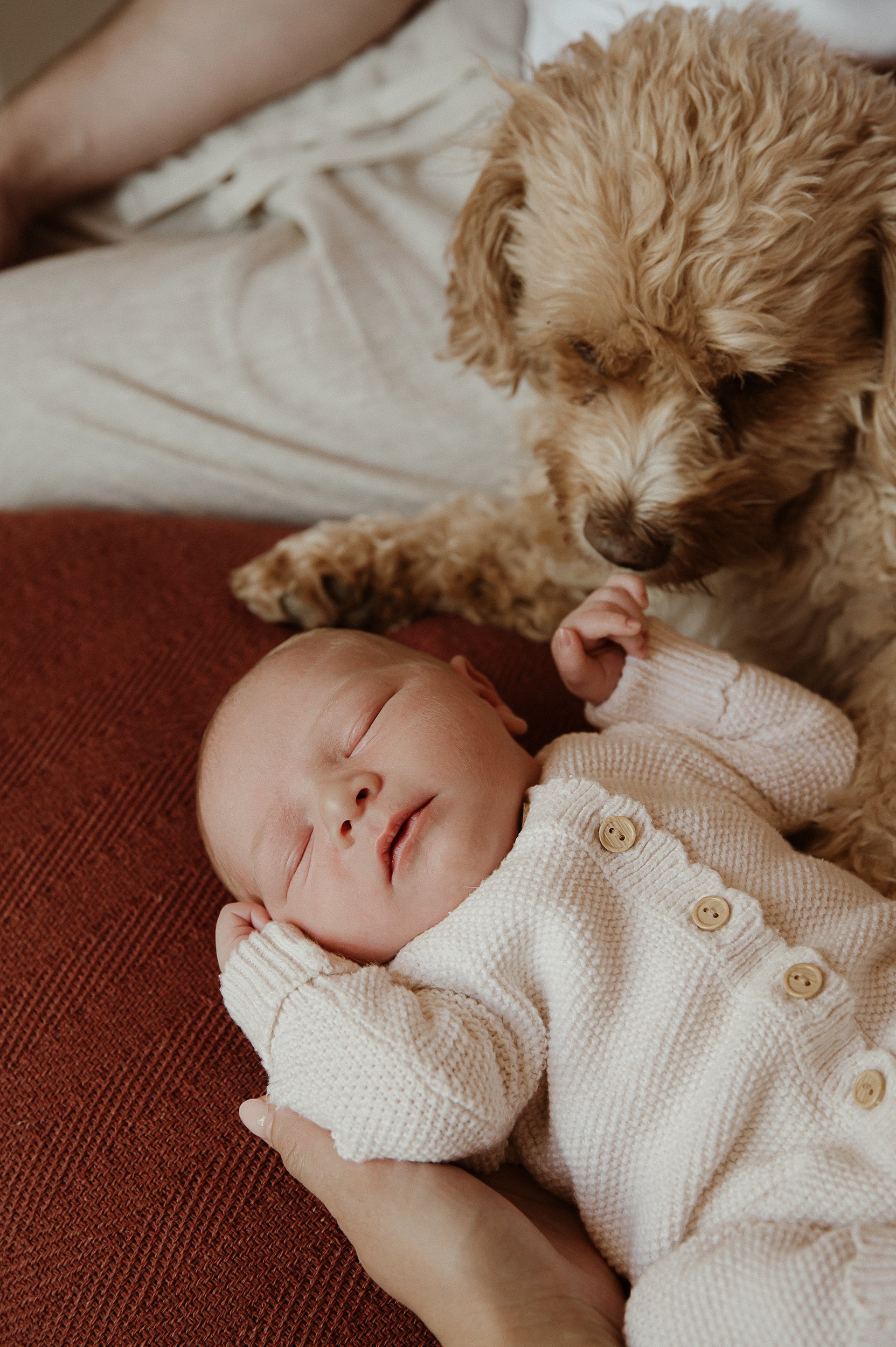 theUNTOLDphotoworcestershirenewbornphotographer-75.jpg