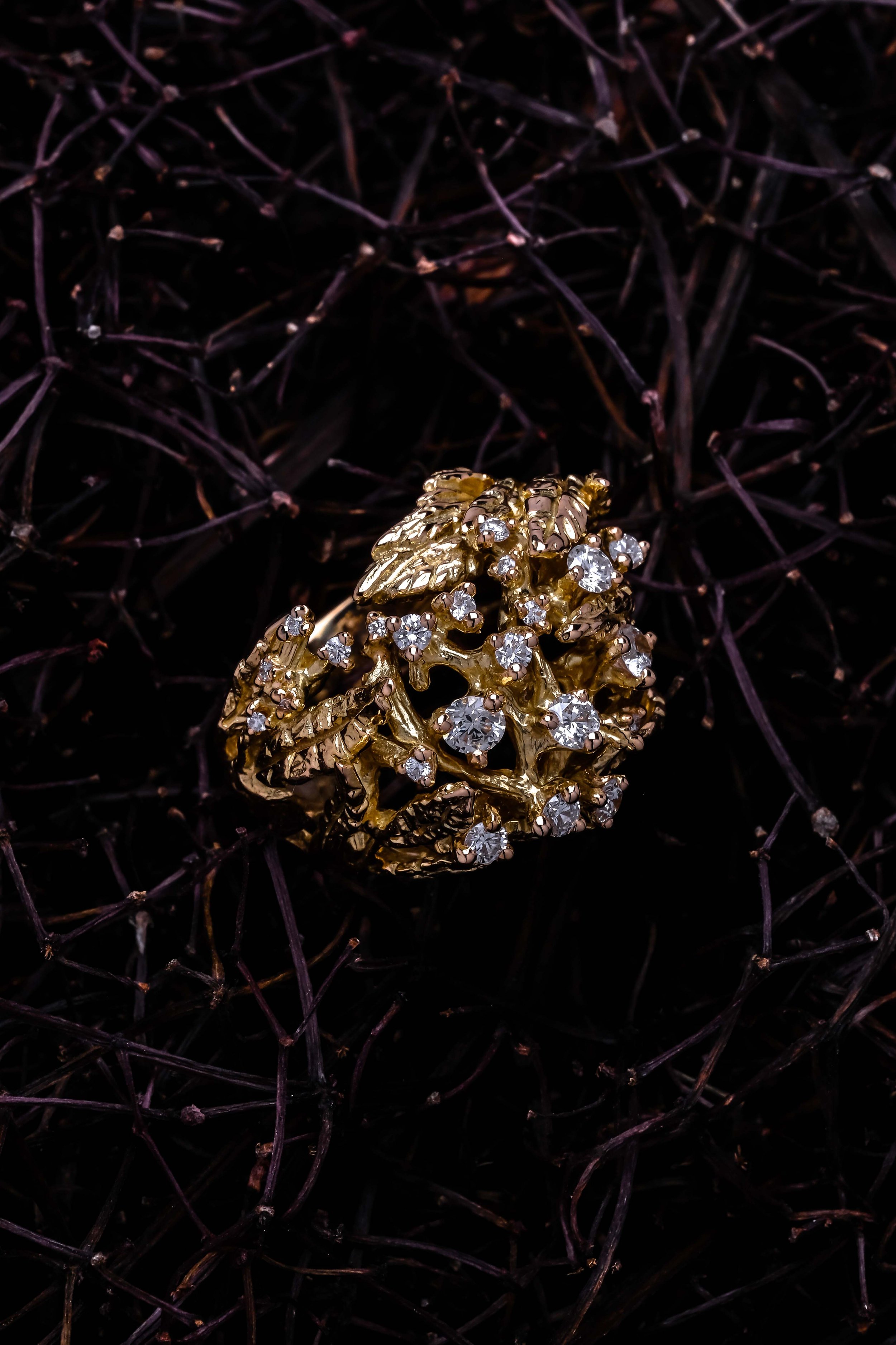 the-black-alchemy-jewelry-sureau-gold-diamonds-2.jpg