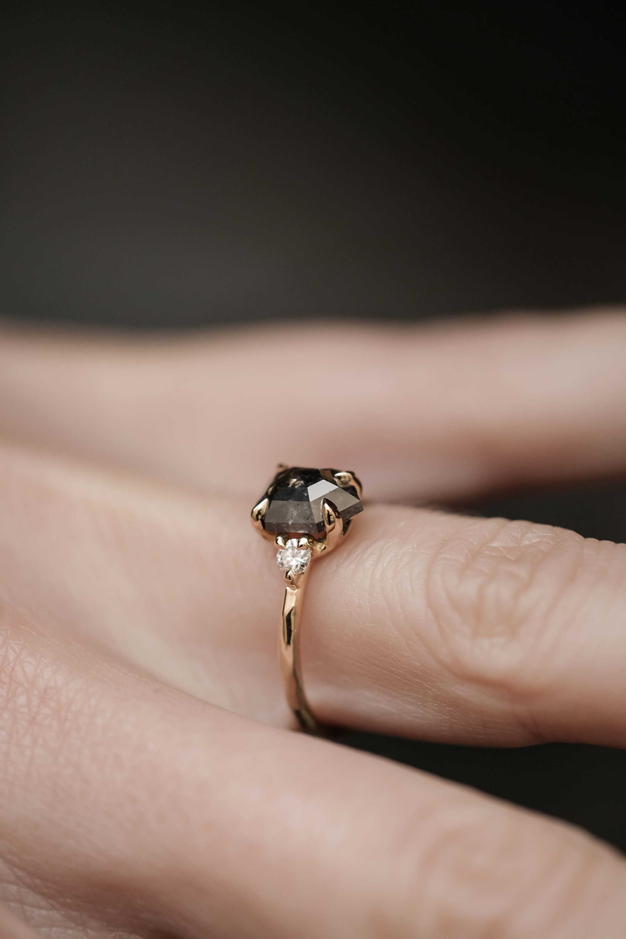 the-black-alchemy-jewelry-alchemia-12-ring-gold-salt-and-pepper-diamond-7.JPG