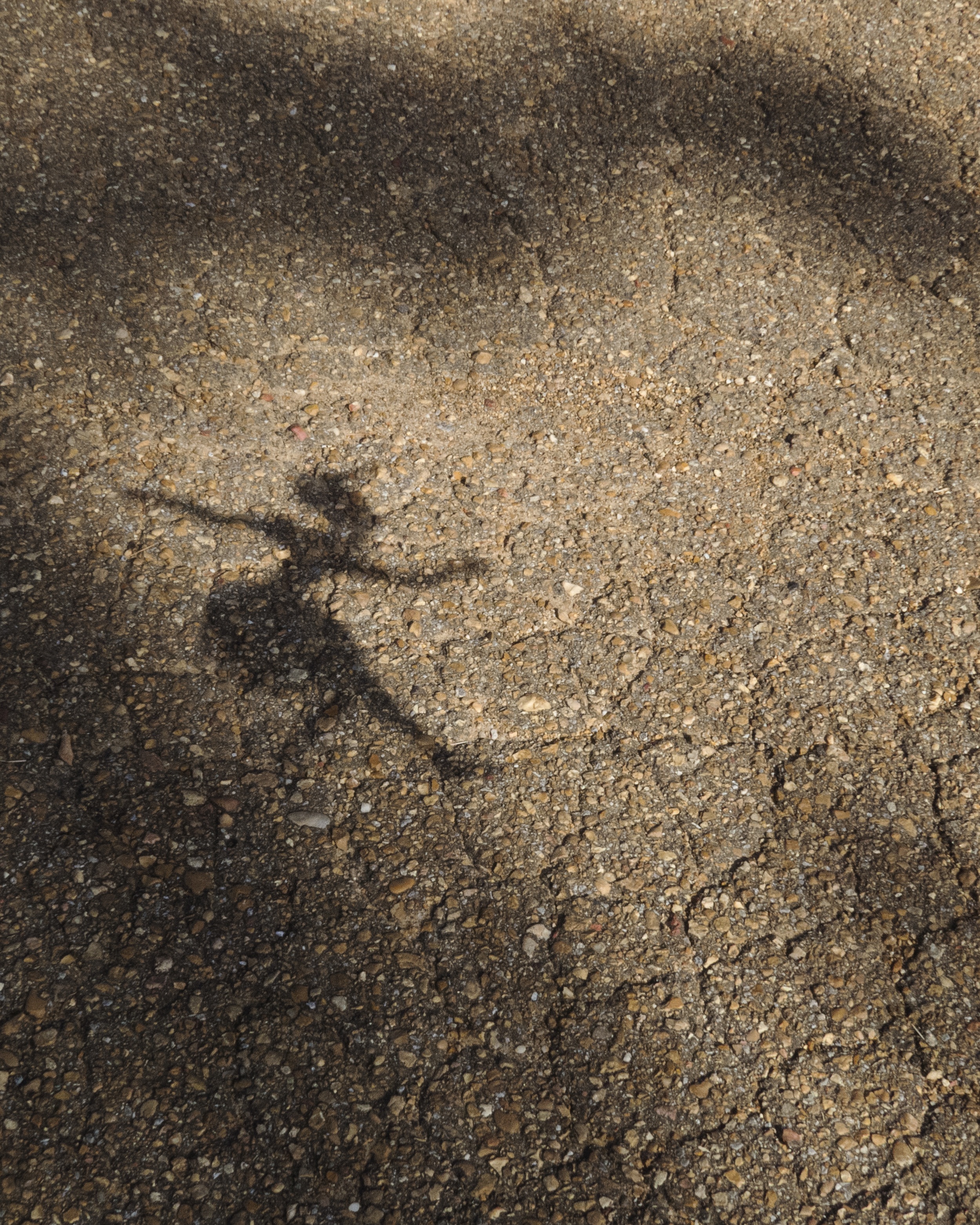 HeidiLandscape-3 copy.jpg