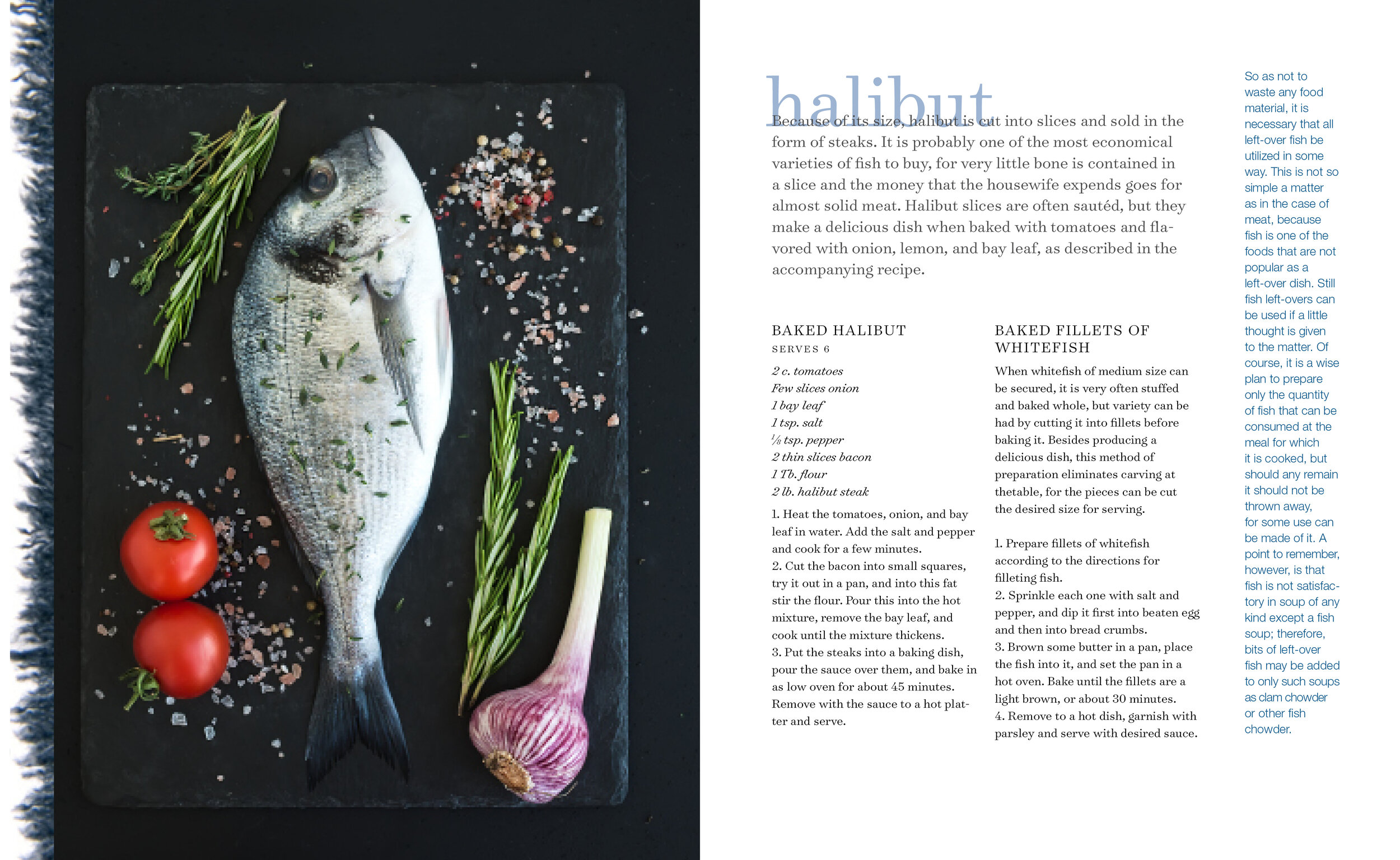 halibut_r.jpg