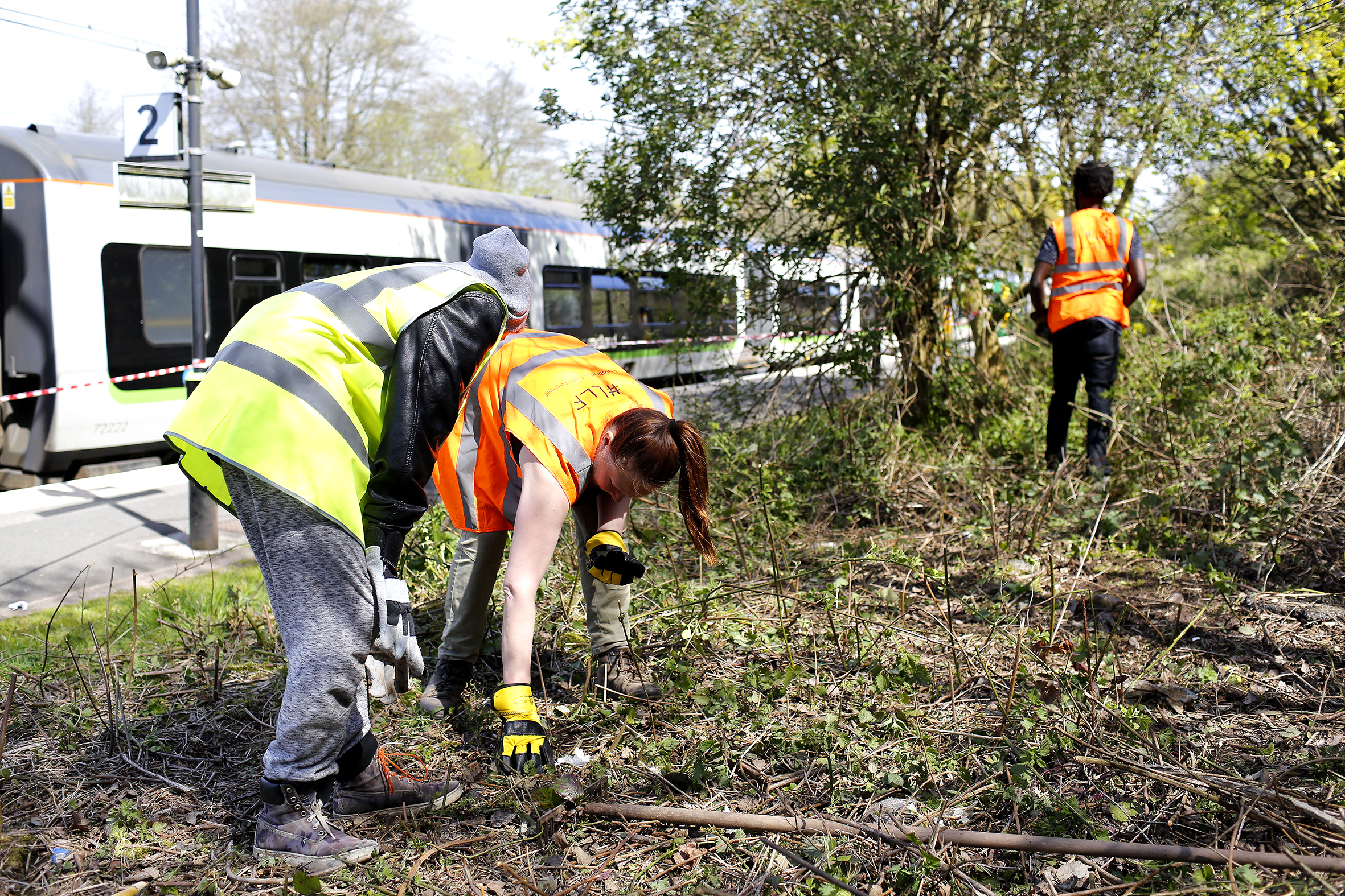Wild Longbridge, May 2016