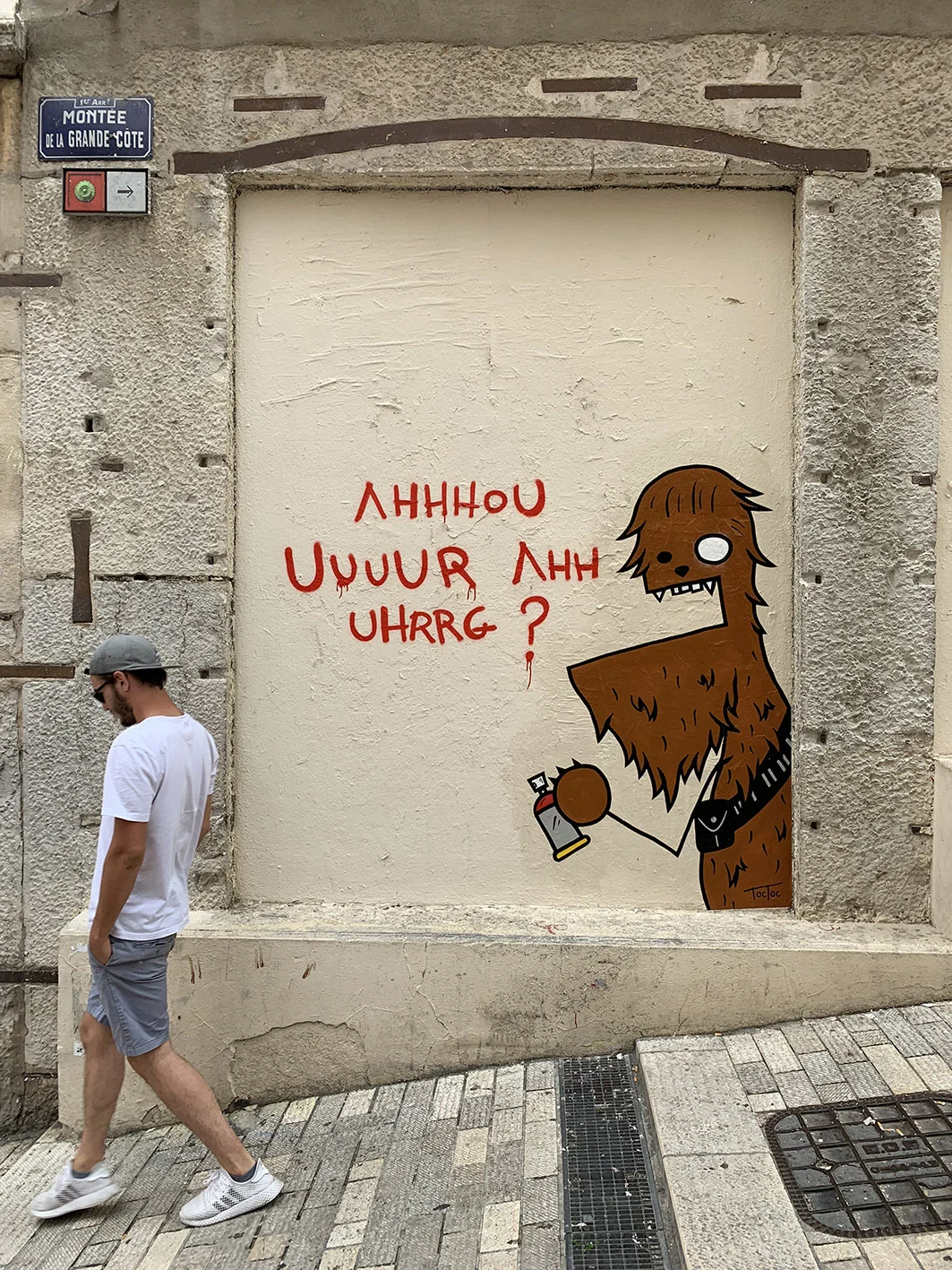 Chewbacca-Duduss.jpg