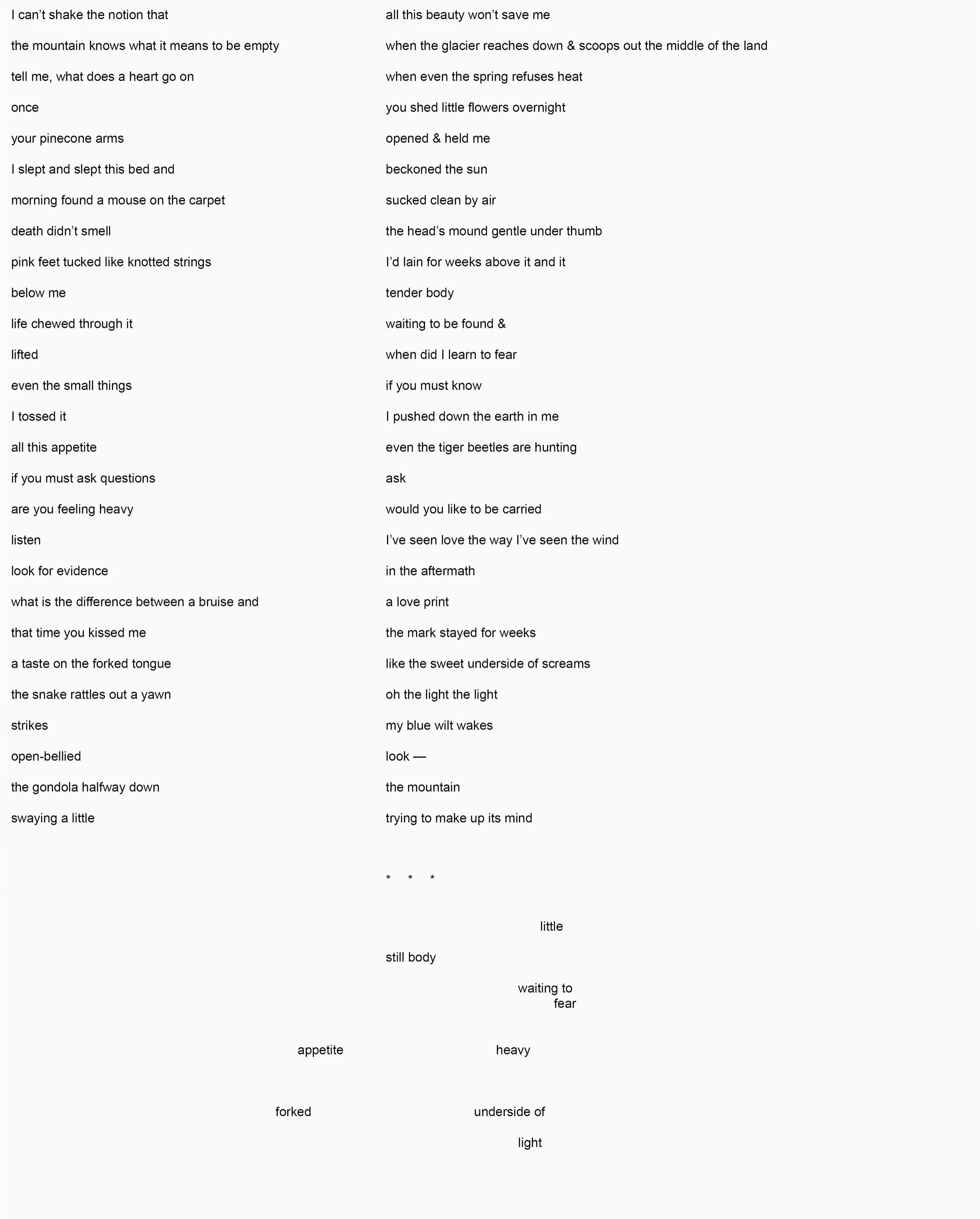 fieldnotes2.jpg