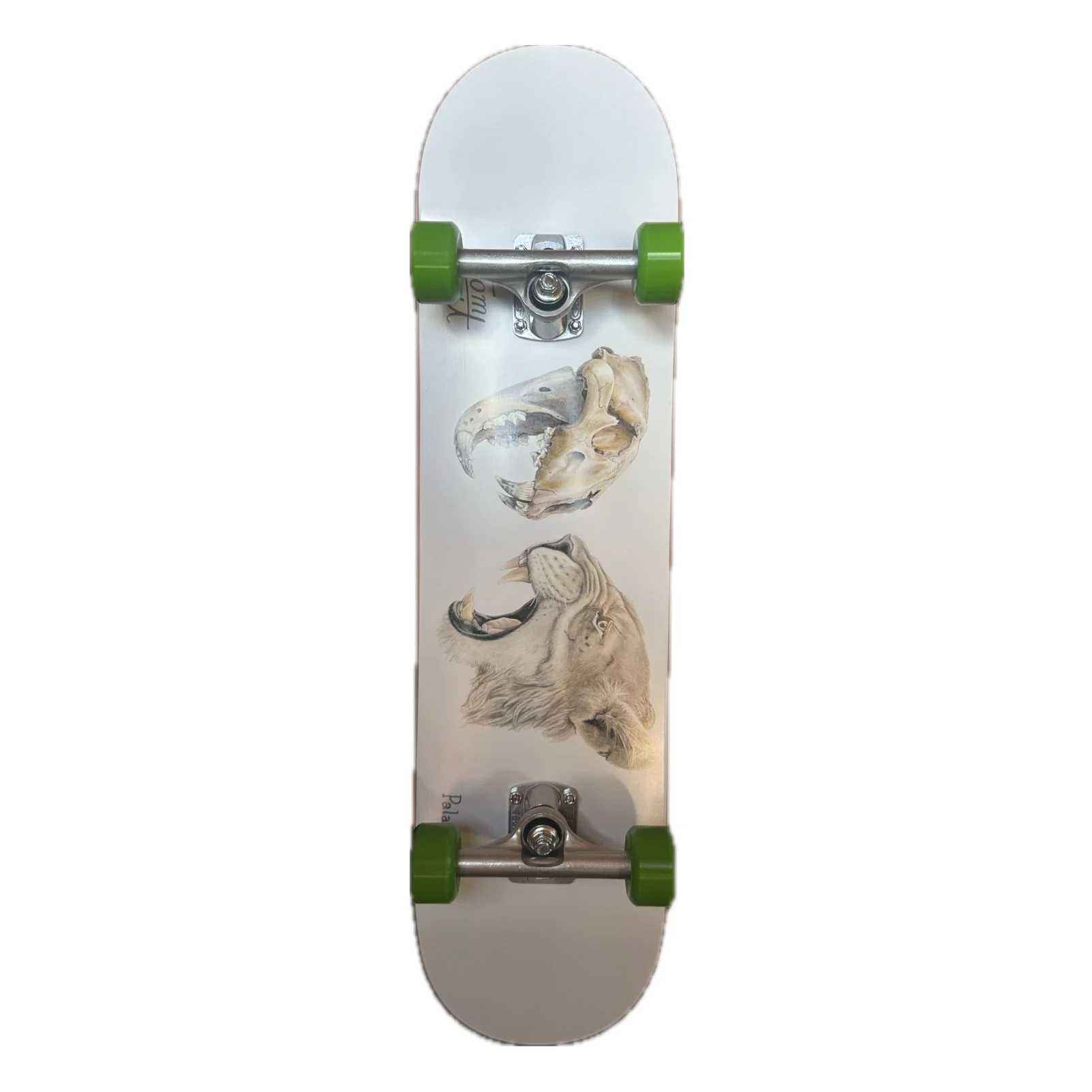 silber Cave Lion Skateboard für Erwachsene Tom Cat .jpg