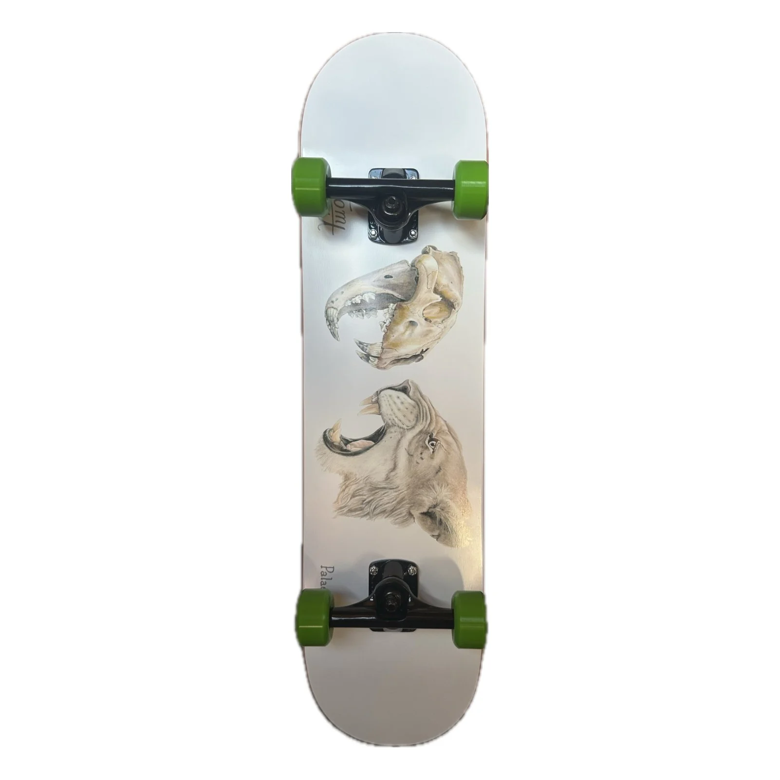 Cave Lion Skateboard für Erwachsene Tom Cat .jpg