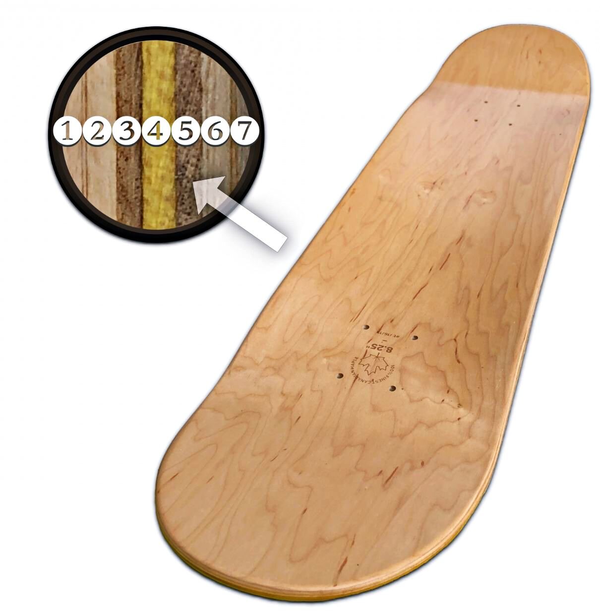 Illustration of a skateboard with 7 layers