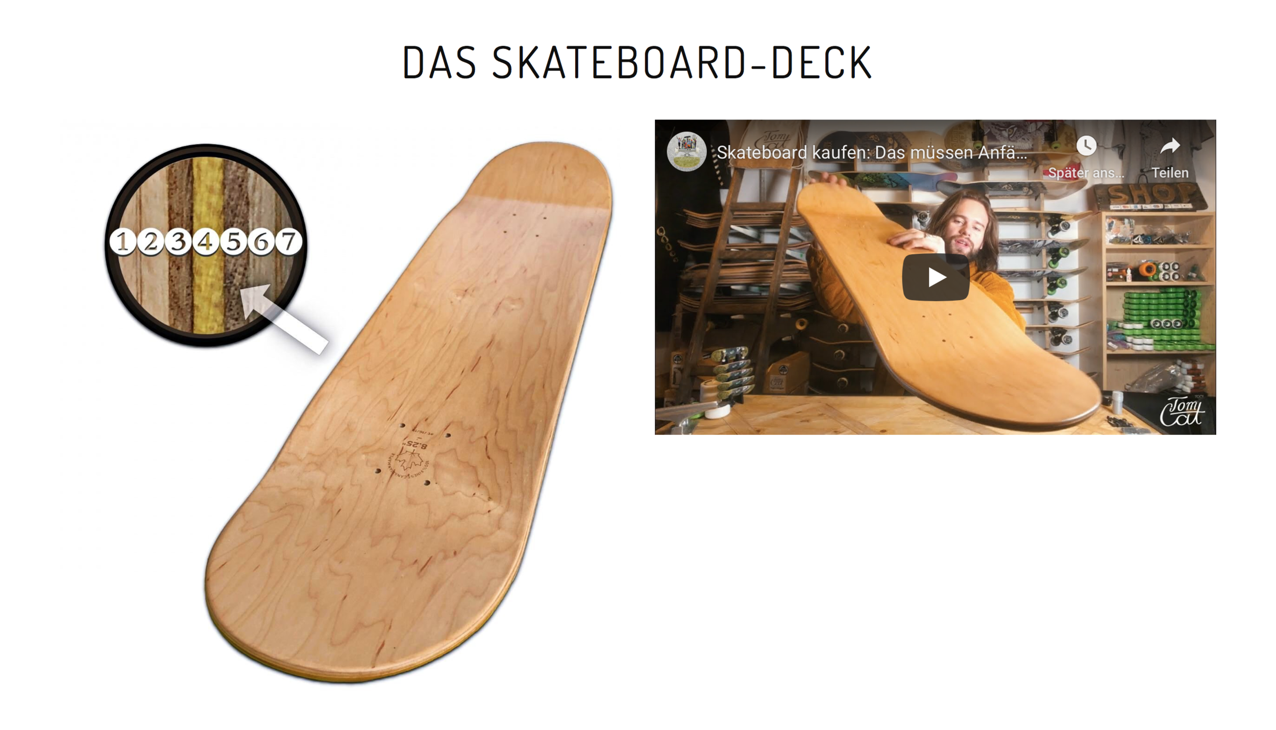 Which skateboard is right for children and adults skateboard for beginners. On tomcatskate.com there is the answer to this question.png
