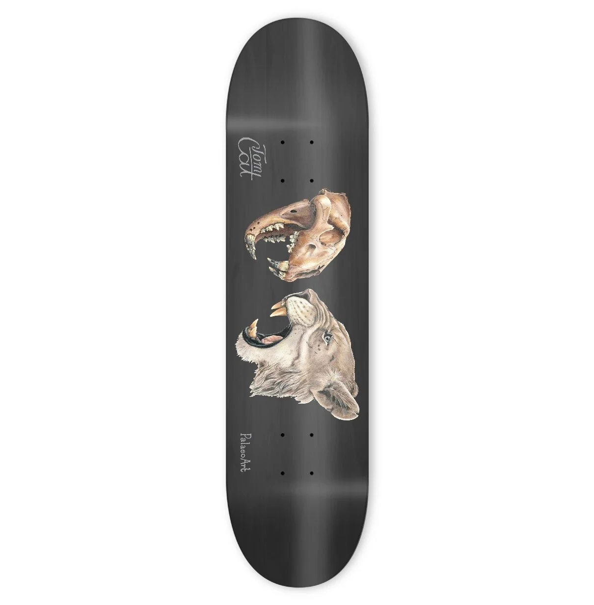 Skateboard Shop — TOM CAT SKATE