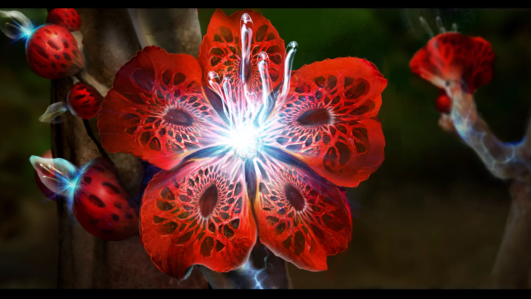 DQSeq_Frame01_003.jpg