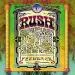 Rush Feedback.jpg