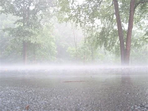 Rainy Days and Monday