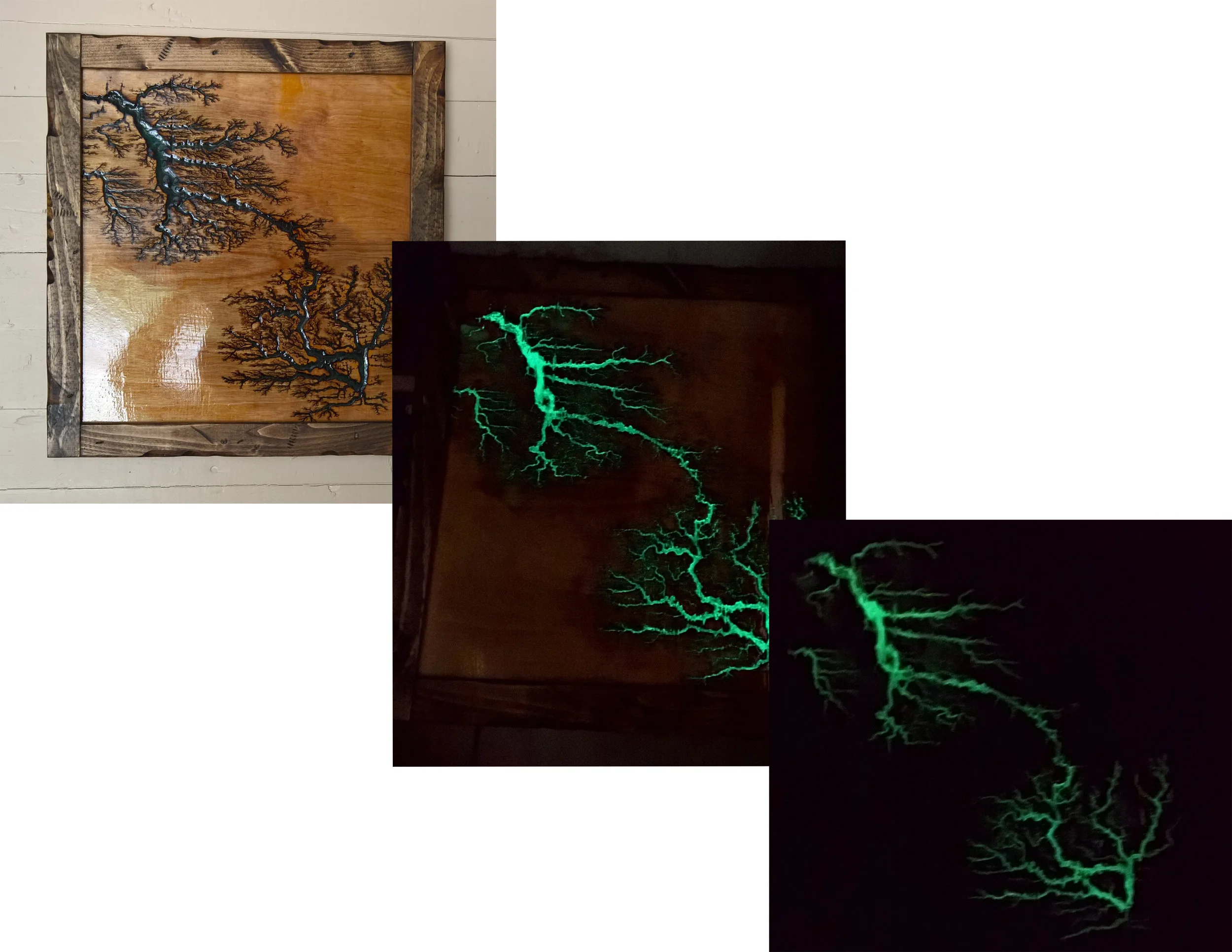 Lichtenberg Fractal Art Work 01.jpg
