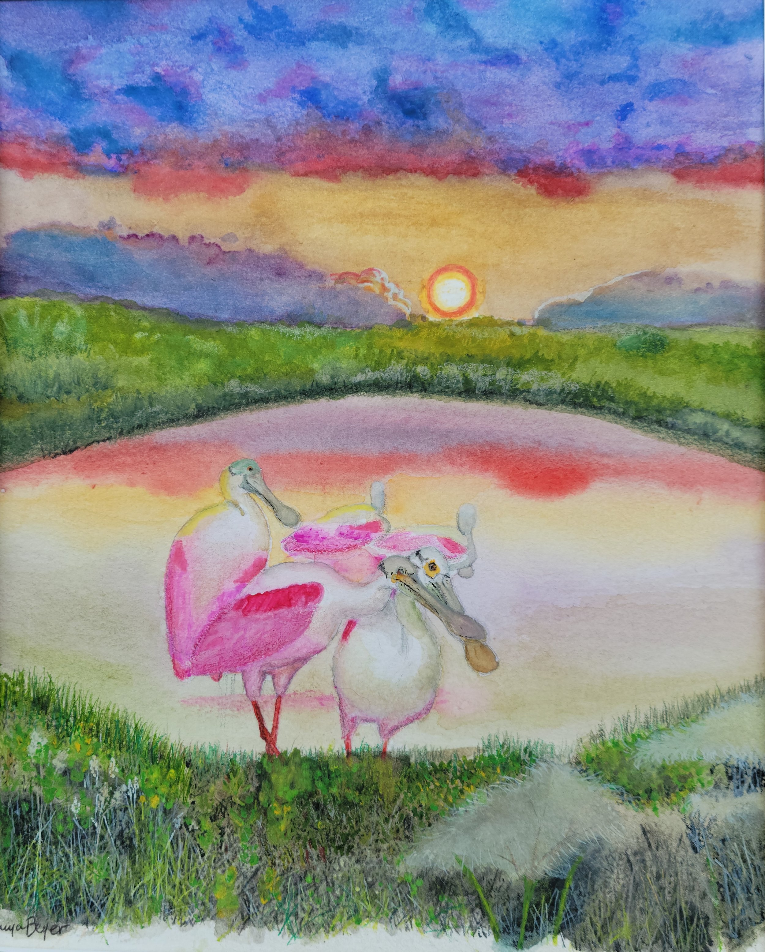 Tanya Beyer - Epiphanies Afield