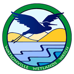 Watsonville Wetlands Watch