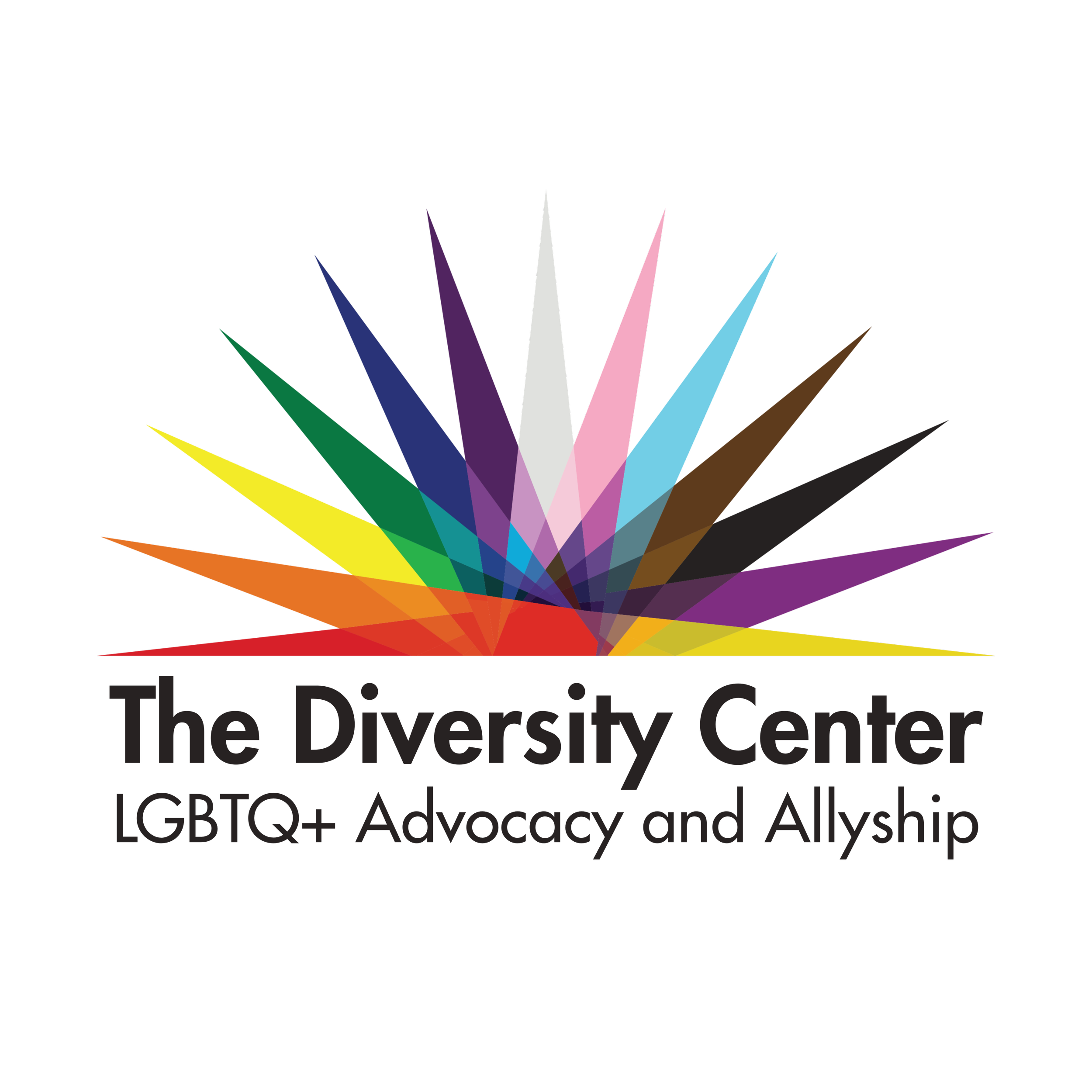 The Diversity Center