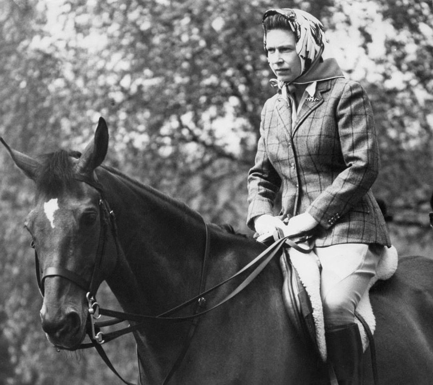 Queens and Horses. It just works!
Book your Melbourne Cup lunch at the Queens.

Tuesday 5th November.
Book via phone at 8267 1139
or our website at queenshead.com.au