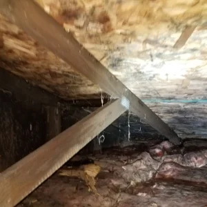 20180321_140051.jpg