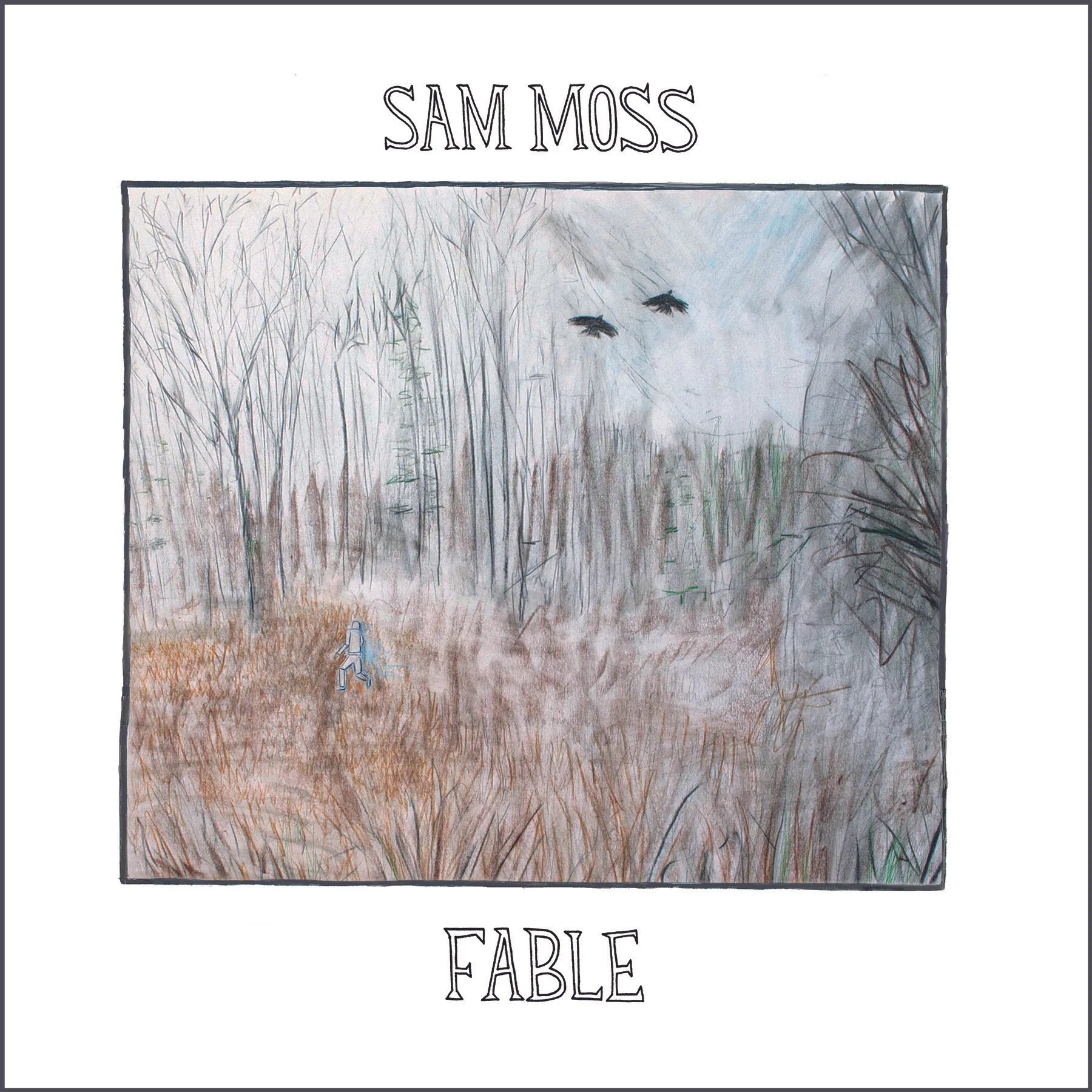 Fable LP Jacket - w gray border.jpg