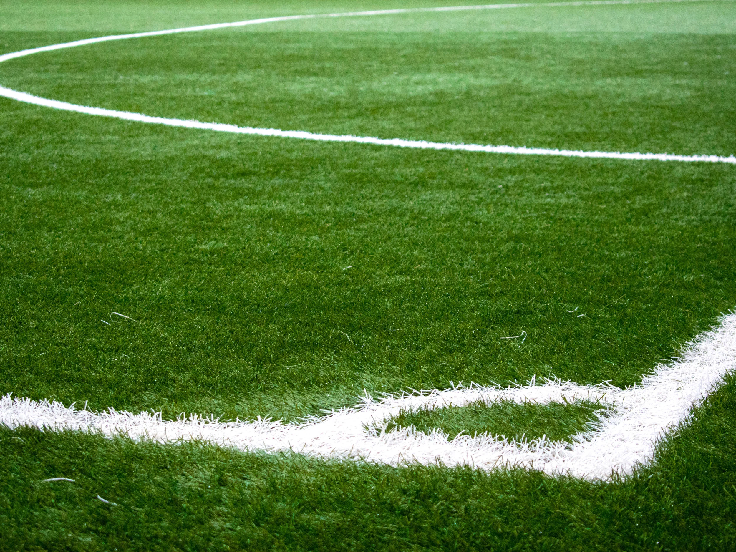 sports turf.jpg