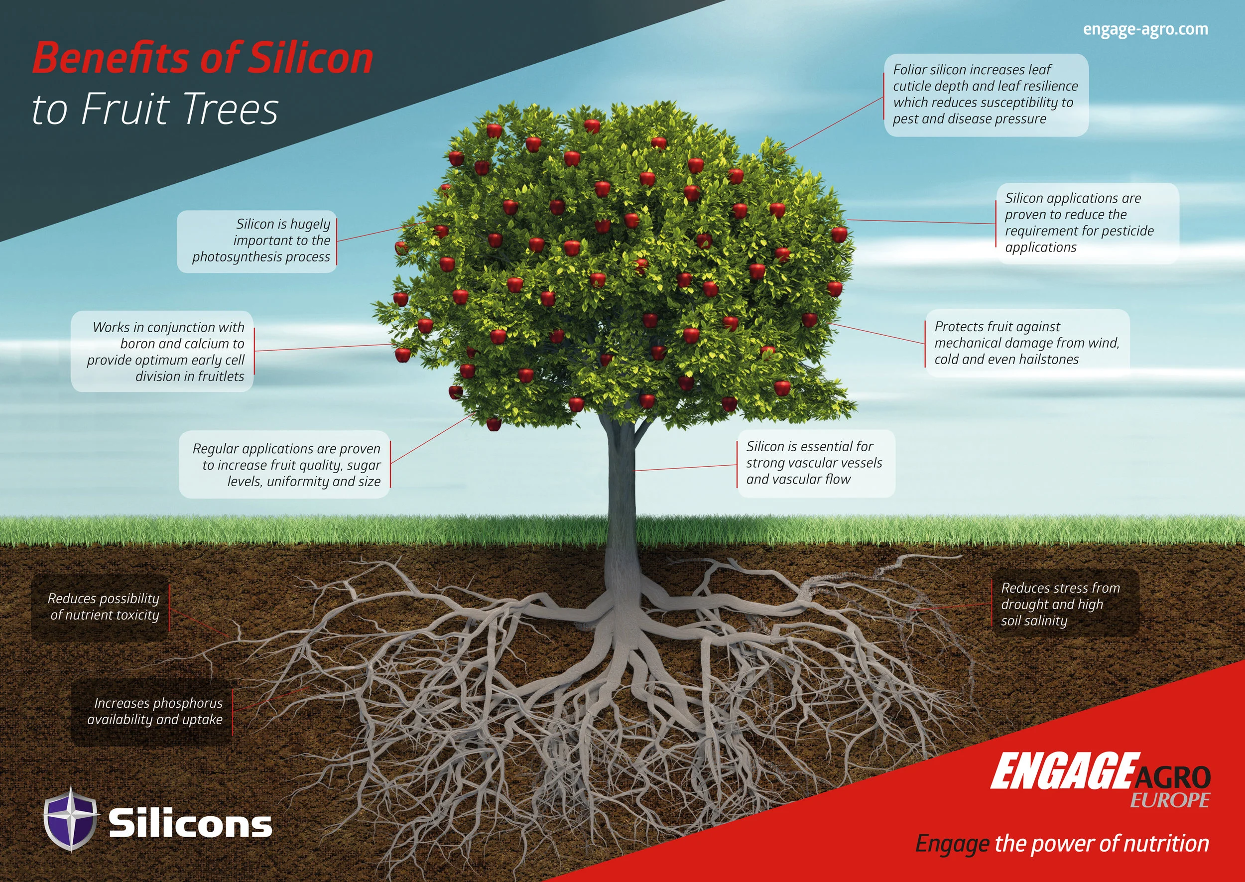 silicon-tree.jpg
