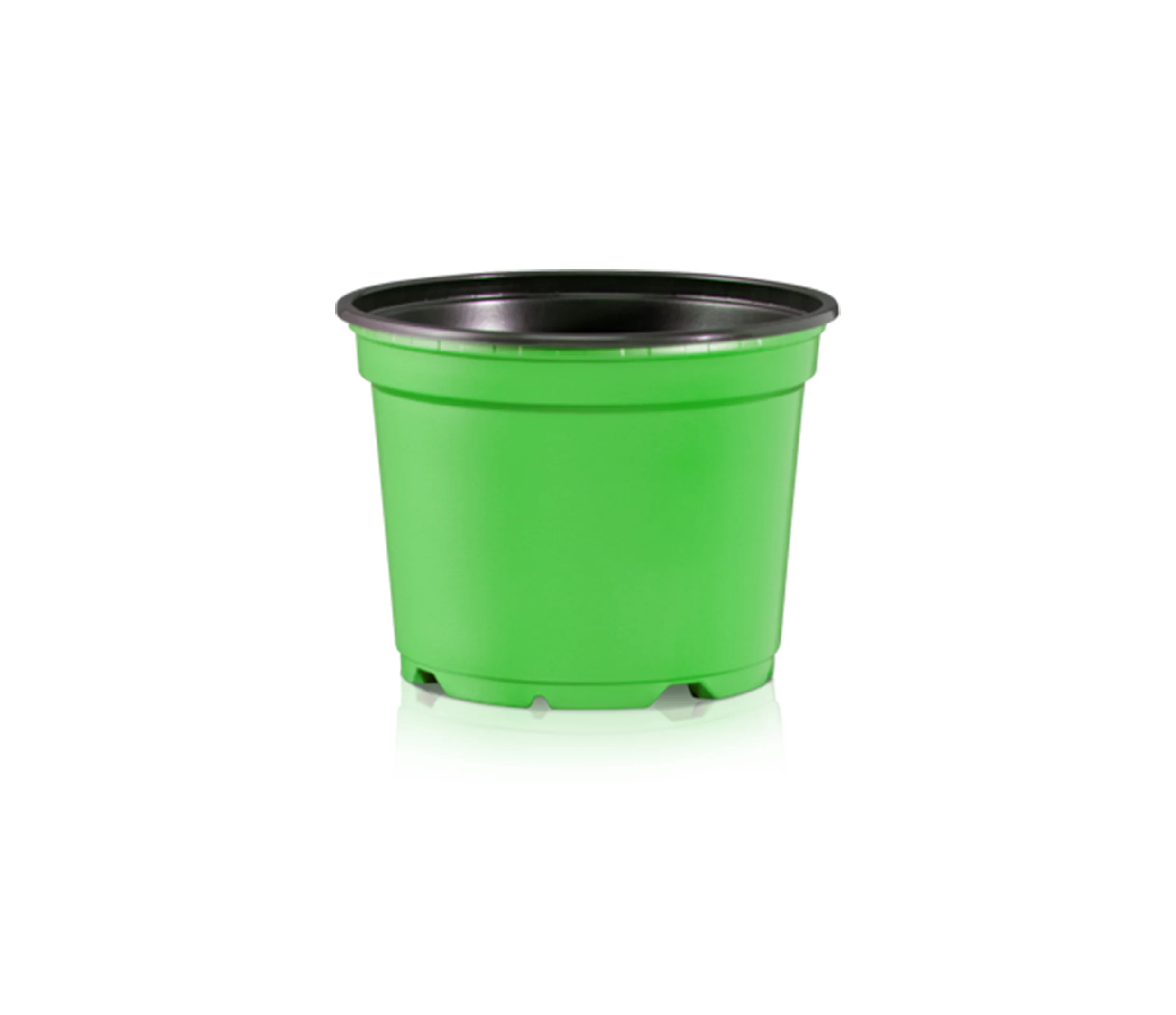 coloured pots green.jpg