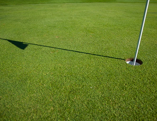 Golf.jpg