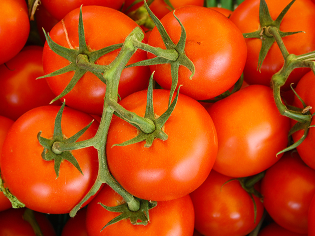 tomatoes.jpg