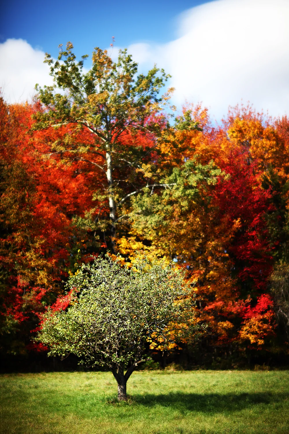 Vermont, USA 2011