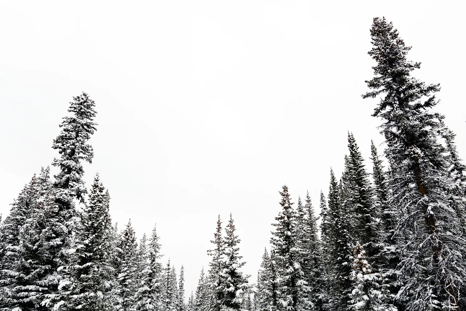 Jasper National Park, Canada 2014