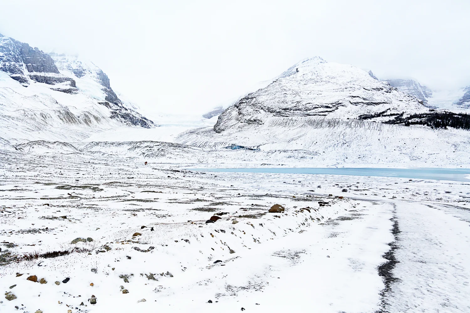Bow Glacier, Canada 2014